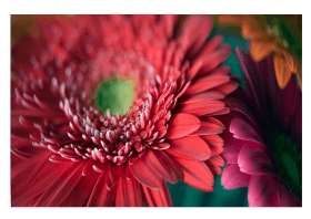 How to get vivid reds with good detail in your digital photos